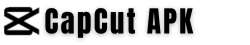 CapCut Pro